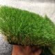 Искусственная трава City-Grass Deco 40 мм